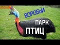 Парк птиц "Воробьи". Классное место в Калужской области!