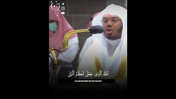 ﴿وَقالَ رَبُّكُمُ ادعوني أَستَجِب لَكُم﴾ من سورة غافر للشيخ ياسر الدوسري تلاوه عراقيه 🤍..