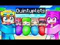 Adopting QUINTUPLETS in Minecraft!