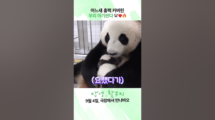 [안녕, 할부지] 아기 판다의 완벽 성장 과정✨
