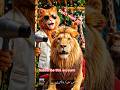 🐱✂️ Red Cat Cuts Lion's Mane! 🦁😂 | Funny Cat Short#RedCat #Lion #FunnyCat #CatShorts #AnimalComedy