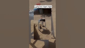 القرآن الكريم رحه النفس 🤍#ياسر_الدوسري #تلاوة_خاشعة #رح_سمعك #اكسبلور #islam #viral#300k#fyp#foryou
