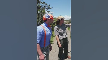 Blippi