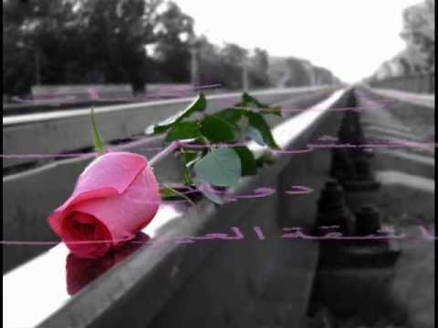 مي كساب متجبش سيرتي تغريد سليمان