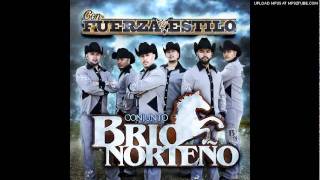 Video thumbnail of "Conjunto Brio Norteno - Si No Te Hubieras Ido"