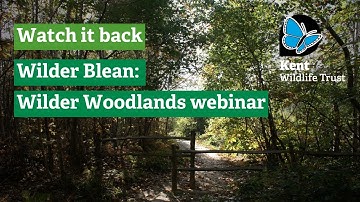 Watch it back: Wilder Blean, Wilder Woodlands Webinar