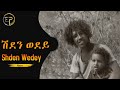 Eritrean song  sheden wedey  tesfay mehari fihira         