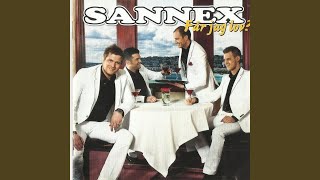 Video thumbnail of "Sannex - I could easily fall In love with you"