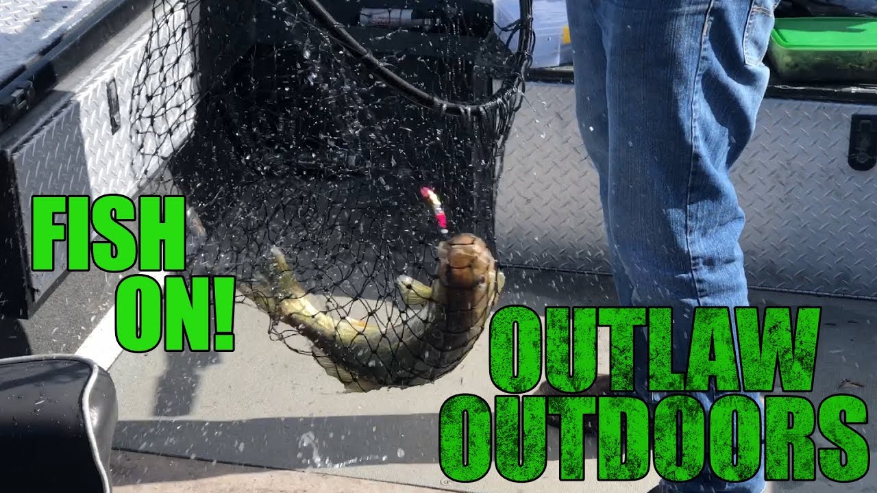 Walleye Fishing on the Columbia River - YouTube