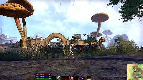 Elder Scrolls  Online - animation bug )