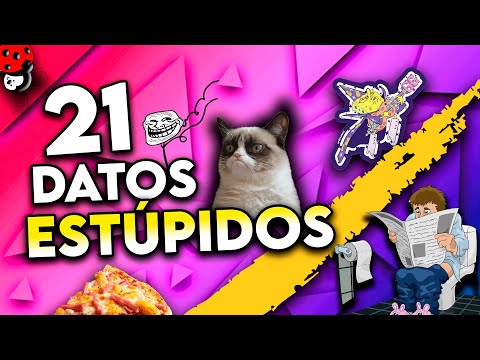 21 DATOS ESTÚPIDOS #3