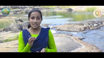 Sunday Catechism | Standard 2 | Chapter 14 | Part 2 | Ms. Shaly Shaji, Nellippara