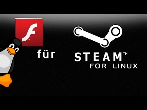 Flashplugin für Steam