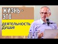 Жизнь - это деятельность Души! Торсунов лекции