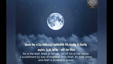 تلاوة خاشعة وآيات مباركة من سورة المائدة.📚/القارئ عمر الدريويز./حالات واتس أب دينية.💞