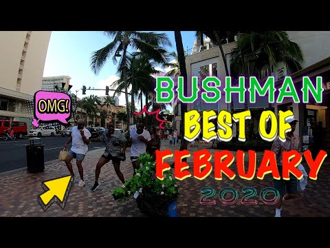bushman-best-of-february-2020