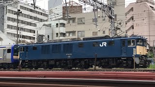 甲種輸送EF64 1031+横須賀線回送E235系0000F-11横クラと相鉄線「八代目そうにゃんトレイン」各駅停車湘南台行き10000系11904、特急サフィール踊り子E261系RS1宮オオが走行！