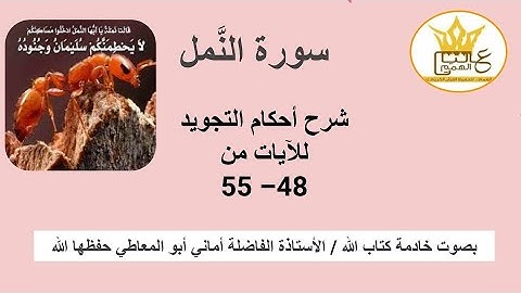 سورة النمل : شرح الاحكام من 48 إلى 55