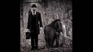 Shayfer James - Tombstone Road