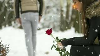 Kanavellam neethane π WhatsApp status π female version πSaranya editz