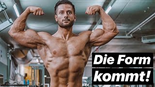 Was Kostet Es Ein Fitnessstudio Zu Eroffnen Impex Group Lkw Und Llkw Reifen