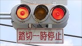 道路標識と信号機の森 Youtube 道路標識と信号機の森 Youtube