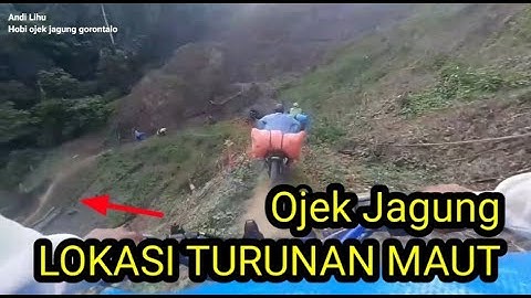Ojek jagung handal turunan maut @Hobi_ojekjagung_gorontalo hobi ojek jagung gountalo
