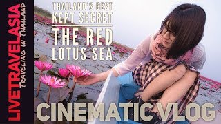 The Red Lotus Lake (Talay Bua Daeng ทะเลบัวแดง) Udon Thani, How to Get to, Boat Ride, Prices