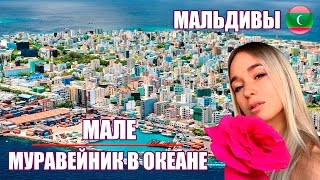 Мале - столица Мальдив - вас неприятно удивит...