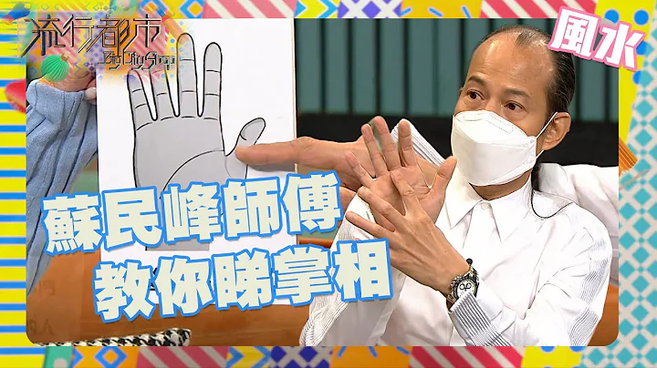 流行都市｜苏民峰师傅教你睇掌相｜苏民峰｜生活｜算命｜风水命理｜掌相 - 天天要闻