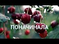 41. Что я натворила 😳 все начатые процессы #вышивка крестом