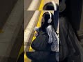 템플 출처:다나 (님) #구독하다 #asmr #아이브리즈 #에스파 #카리나 #아일릿 #원희