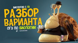 Разбор варианта ОГЭ по биологии 2024