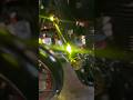 Foglight SC-16 with Red DRL 60W pair White - Yellow with Flasher #foglights #foglamp