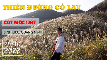 Thiên đường cỏ lau, cột mốc 1297, Bình Liêu Quảng Ninh 25-10-2022