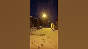 Thumbnail of Narım Narım  Bawer Taylan