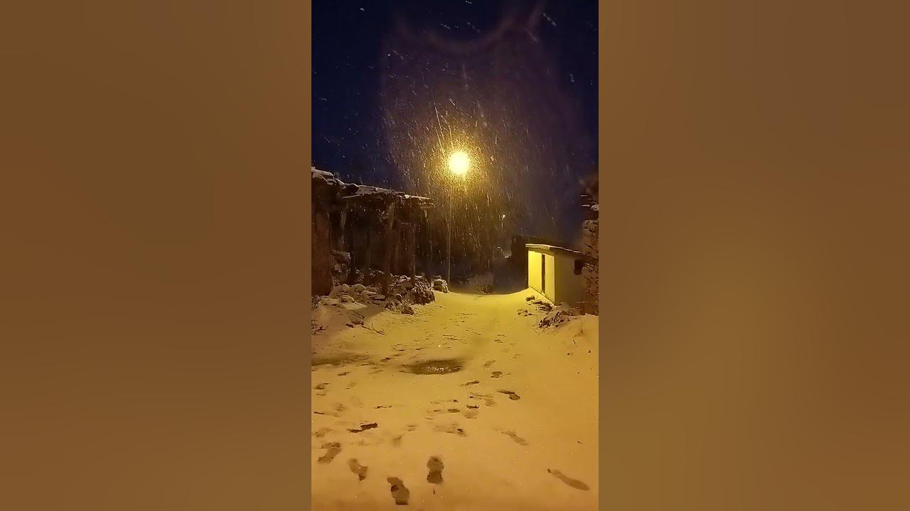 Narım Narım Bawer Taylan Narım Narım Bawer Taylan