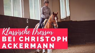 So wird dein Pferd losgelassen - Arbeit an der Losgelassenheit mit Christoph Ackermann