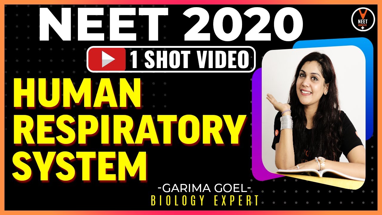 Human Respiratory System Class 11 | NEET Biology Lecture | NEET 2020 Preparation | Garima Goel