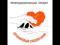 Презентация природоохранного проекта &quot;Оранжевый скворечник&quot;