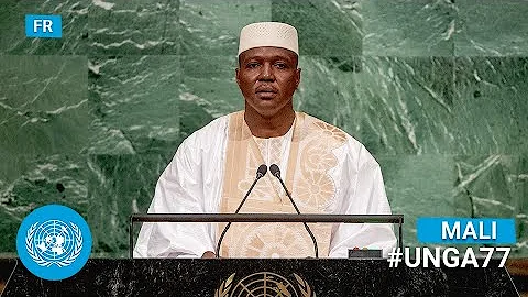 (Franais)  Mali - Prime Minister Addresses United ...