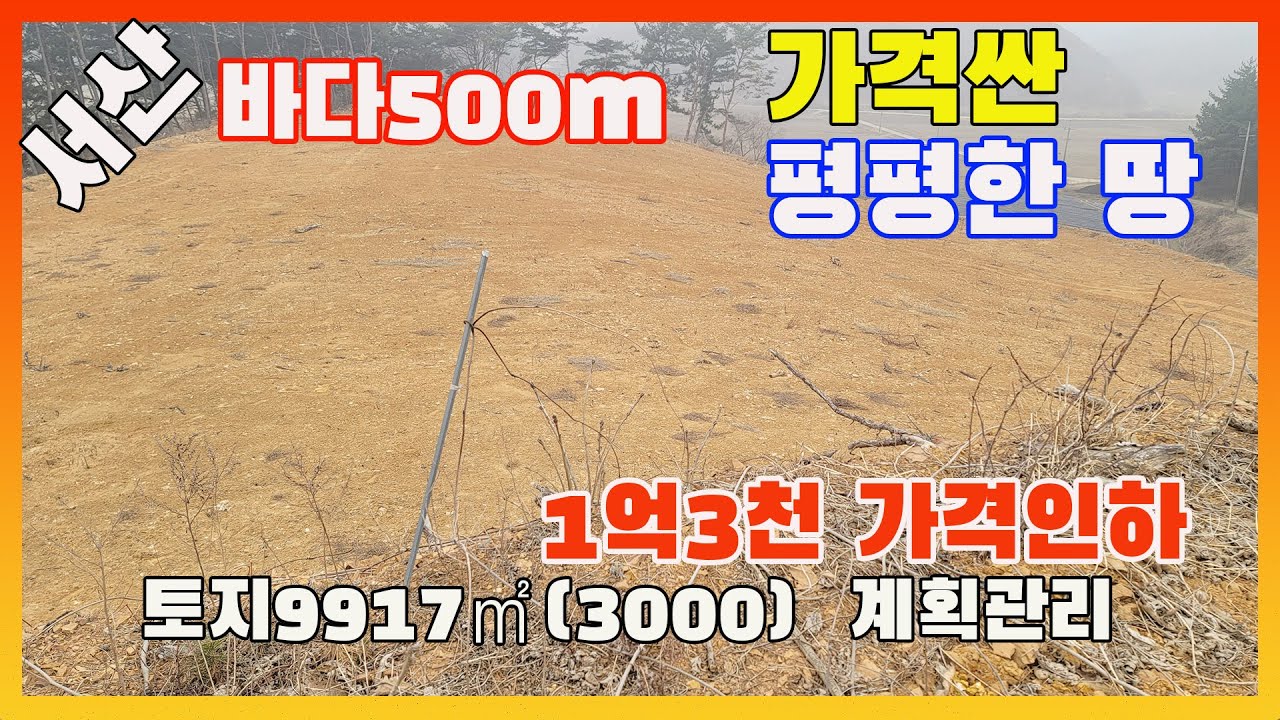[물건번호2856]서산시 팔봉면 바다500m 거리 " 1억7천 가격인하 급매 "하는 평평한 임야 입니다,  밭으로 사용하기 좋은 계획관리 토지입니다,  넓은 창고 지어 작업실 해도