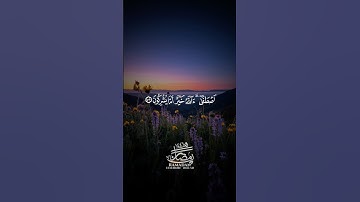 أمن يجيب المضطر إذا دعاه.تلاوة بصوت الشيخ #محمد_اللحيدان #quran #اكسبلور #shots #viralvideo #قرآن