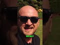 Rasenroboter Günstig, Einfach & Perfekt für Große Gärten!