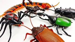 Super Creepy Toys Collection R/C Spider Cockroach Centipede Ant Hercules Beetle