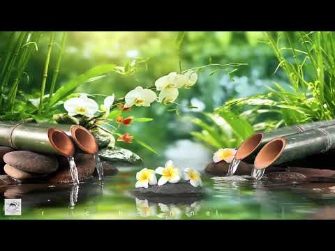 Soothing Relaxation Music,