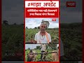 Latur Kothimbir Crop Losss : कोथिंबिरीला भाव नाही,शेतकऱ्याने उभ्या पिकावर नांगर फिरवला