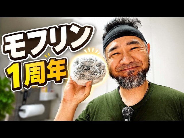 Mofurin's 1st Anniversary: ​​Life with an AI Pet is Cuter Than I