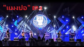 วันสีน้ำเงินแม่สอด@ตาก : Part-4 / แมงปอ-EP.4(End)