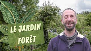 Il cultive un JARDIN FORÊT depuis plus de 15 ans @LeJardindEmerveille